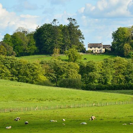 Dromard House Bed and Breakfast Enniskillen Exteriör bild