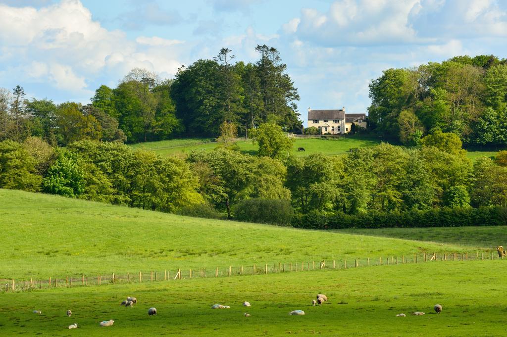Dromard House Bed and Breakfast Enniskillen Exteriör bild